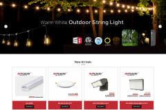 Nexleds E-commerce Web Development