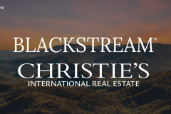 Boosting Sales Pipeline Efficiency for BlackStream International Real Estate 