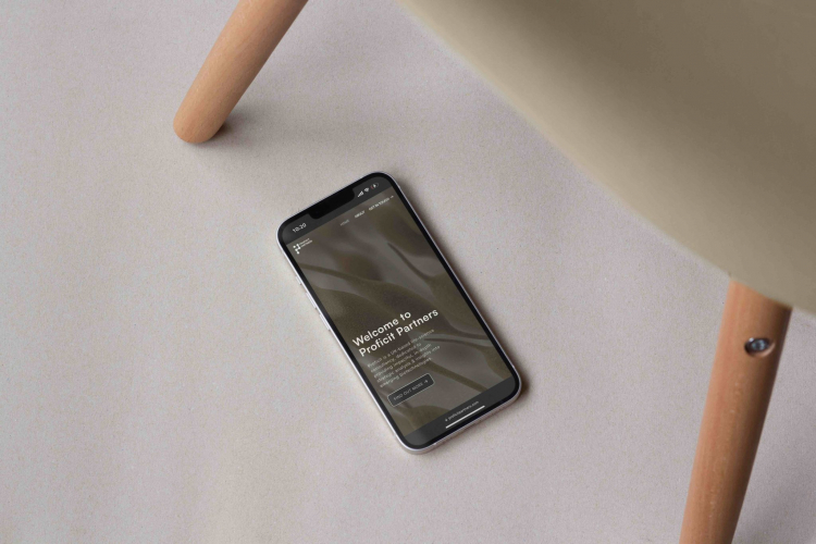 Proficit Partners — Logo, web design, development screenshot 5