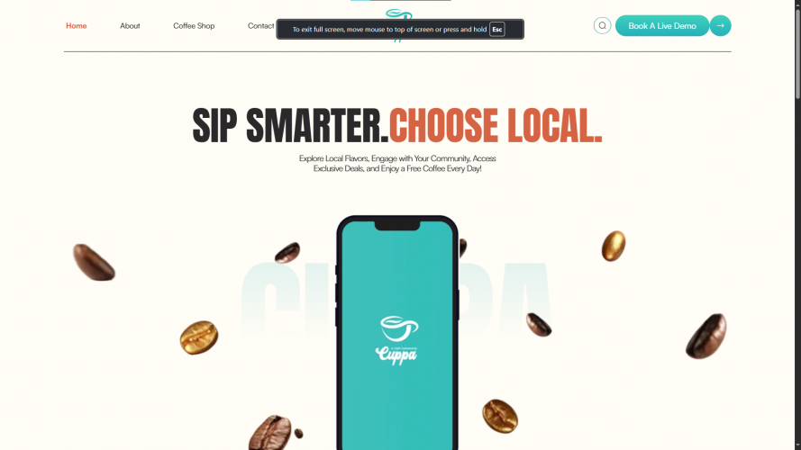 Website Development  screenshot 1