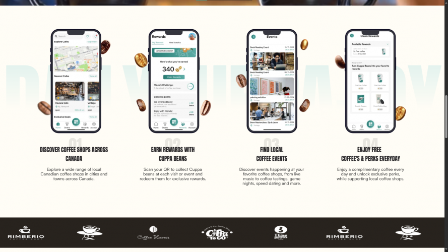Website Development  screenshot 2