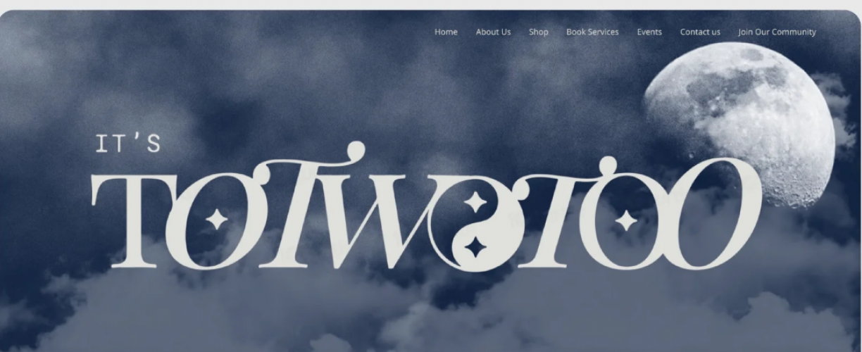 Website Development screenshot 2