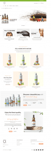 WordPress E-commerce Website screenshot 1
