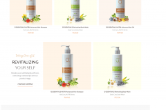 WordPress E-commerce Website