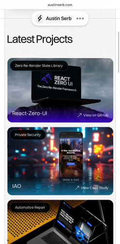 Austin Serb Portfolio screenshot 1