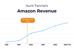 Building a Multi-Million-Dollar Brand on Amazon