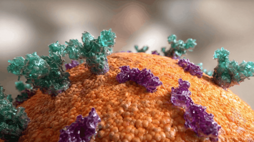 Medical Heart Animation: High-Fidelity Cardiac screenshot 1