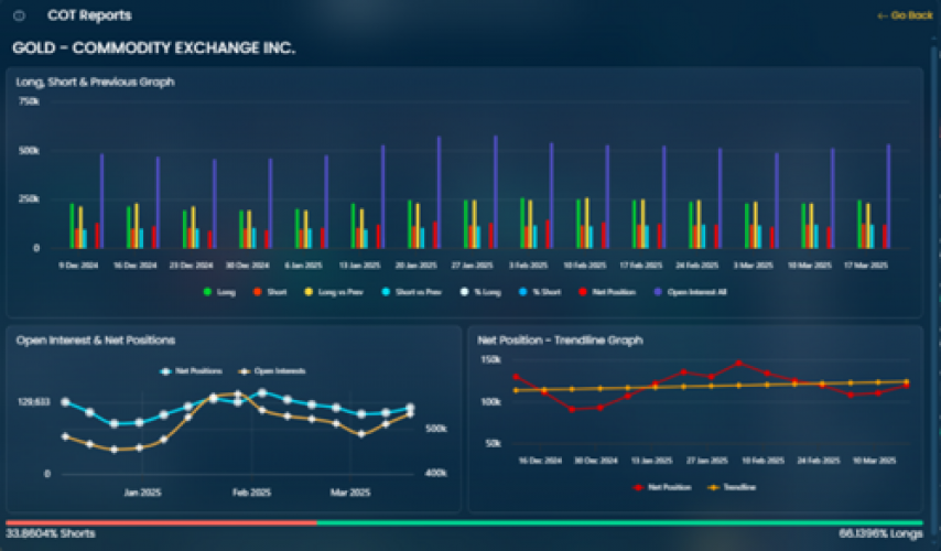 Real-time Financial Market Analysis Tool screenshot 3