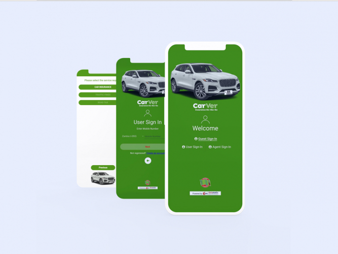 Online Motor Insurance screenshot 2