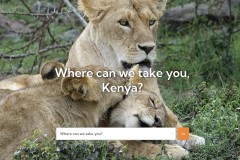 Anvir Travels Web Development
