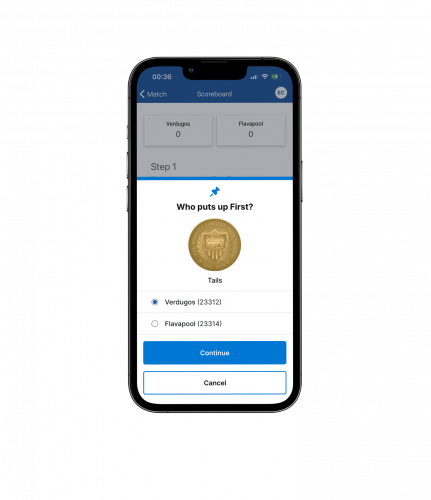 American Poolplayers Association screenshot 5