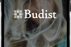 Budist