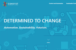 Web Redesign and Development