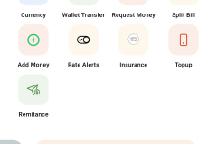 Wallet Application