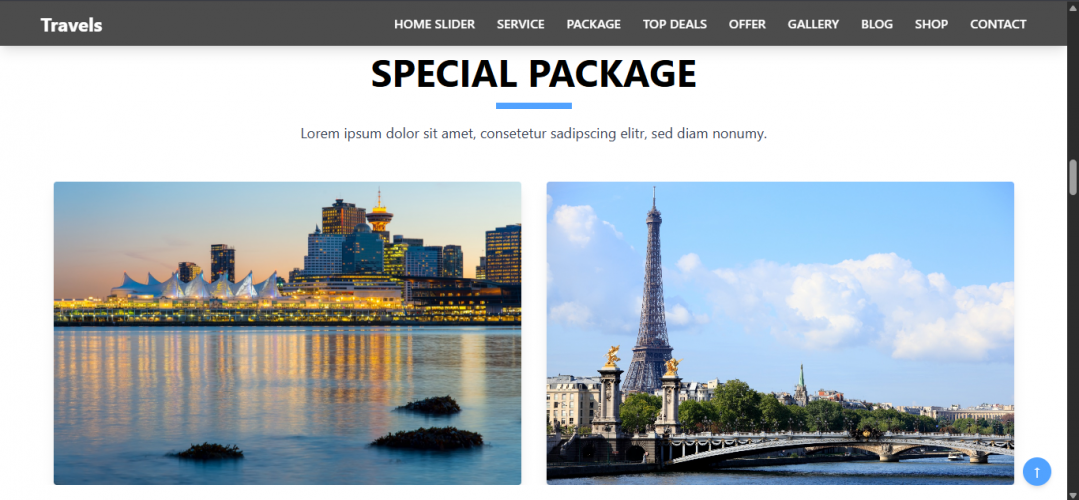 Tours and Travels Website   screenshot 2