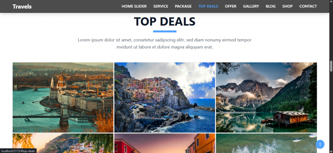 Tours and Travels Website   screenshot 1