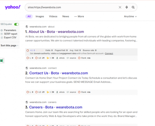 SEO Optimization for We Are Bota (Business Consulting Agency) screenshot 1