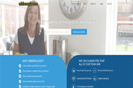 Cleaner Service Booking Website