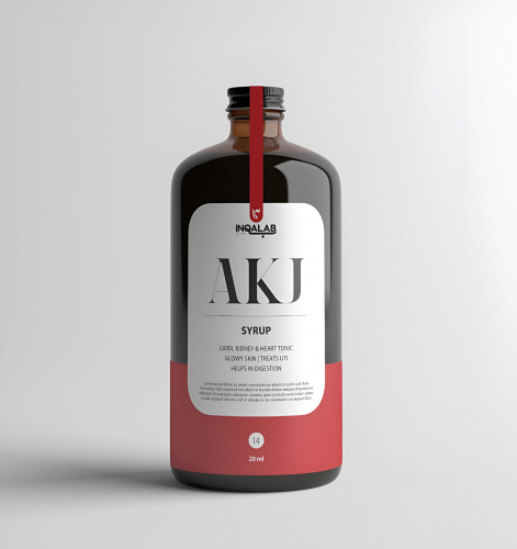 INQALAAB - BRAND OVERHAUL + MARKETING STRATEGY screenshot 5