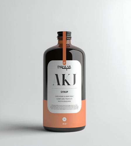 INQALAAB - BRAND OVERHAUL + MARKETING STRATEGY screenshot 2