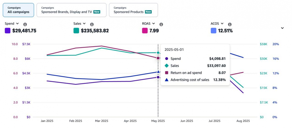 Amazon PPC Portfolio screenshot 2