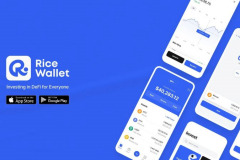 Rice Wallet