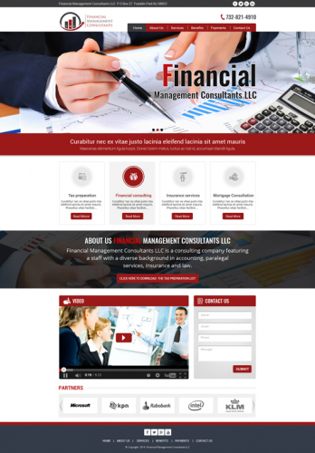 Web Design for Financial Management Consultants screenshot 1