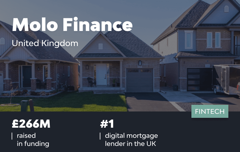 MOLO FINANCE screenshot 1