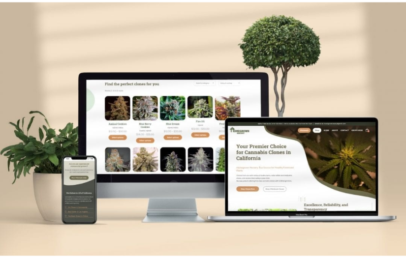 Homegrown Nursery Website and SEO screenshot 1