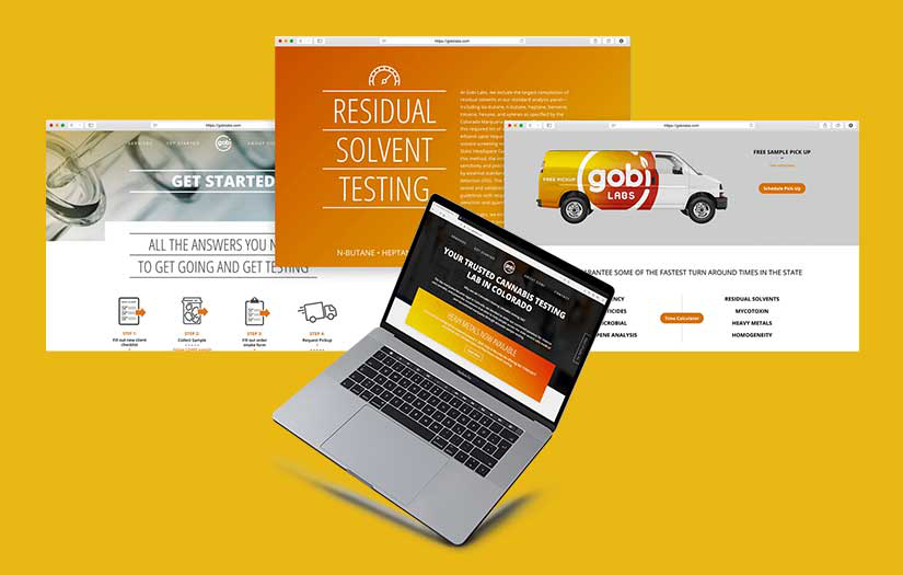 GobiLabs Website screenshot 1