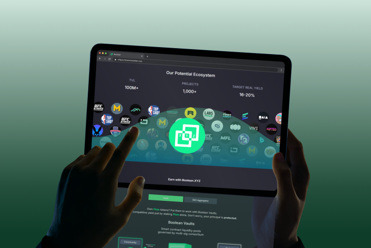 Boolean: The Backbone of the Flow Ecosystem screenshot 2