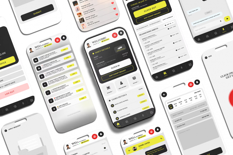 DPS Airem screenshot 1