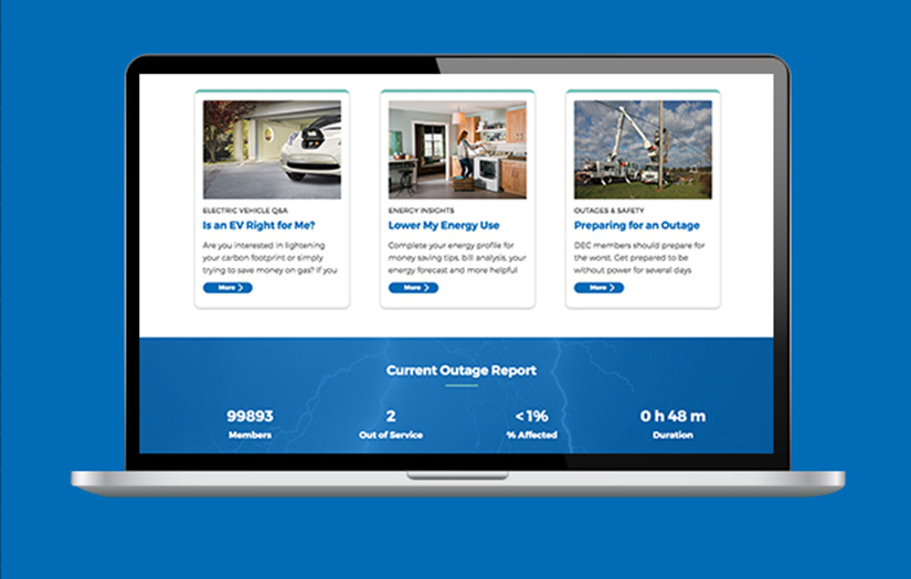Delaware Electric Cooperative screenshot 1