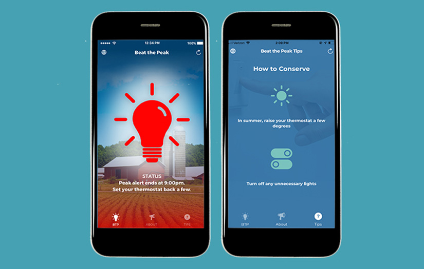 Delaware Electric Cooperative screenshot 2