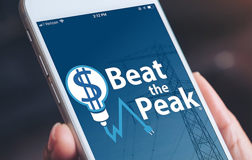 Delaware Electric Cooperative screenshot 3