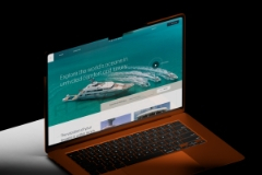 Luxury Yacht Website Redesign – Reverie