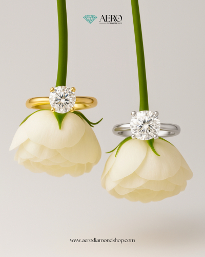 AERO Diamond screenshot 1