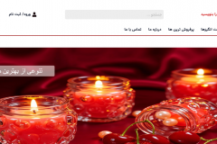 Ready-Made E-commerce Website – Launch Your Online Store Fast