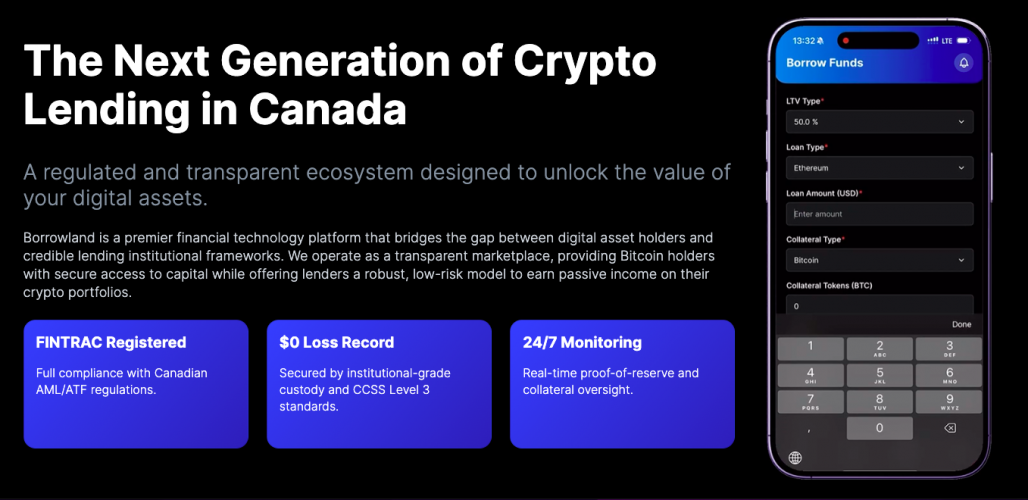 Borrowland Crypto Lending & Passive Income Platform screenshot 3