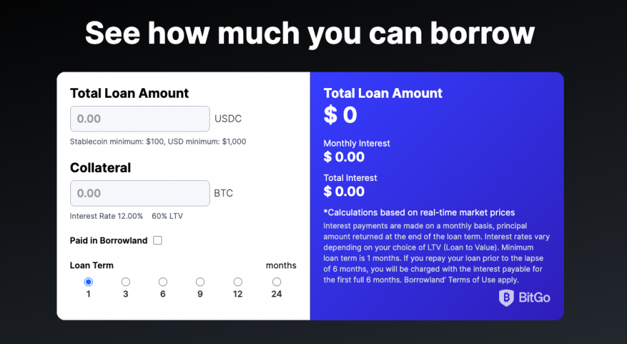Borrowland Crypto Lending & Passive Income Platform screenshot 2