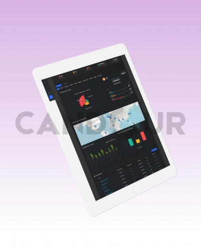 Sentinel Global Crypto Transaction Surveillance screenshot 1