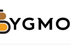 Web Development & Google Ads for Syg Mob Design