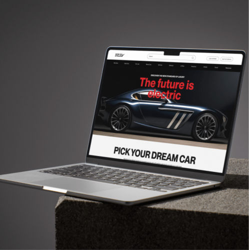 EZEV | Electric Mobility / Automotive SaaS (D2C & B2B) screenshot 1