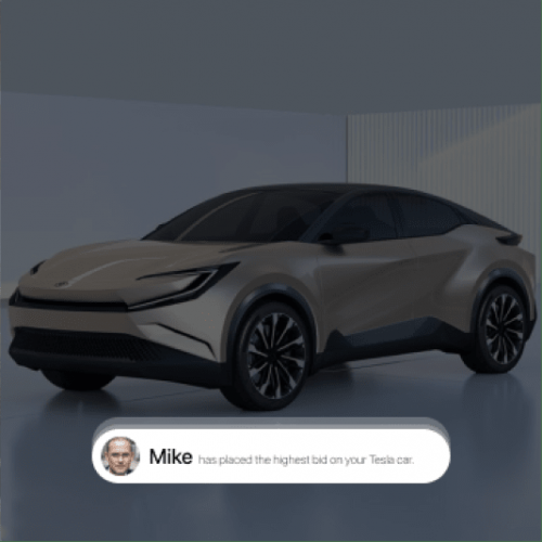 EZEV | Electric Mobility / Automotive SaaS (D2C & B2B) screenshot 4