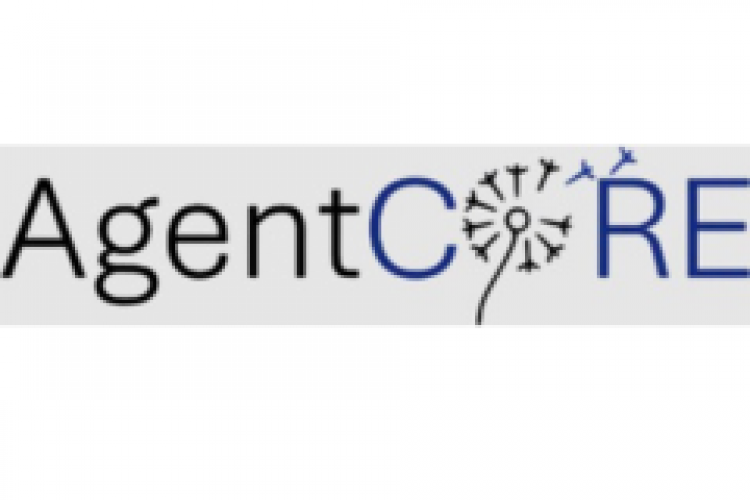 Agent Core screenshot 1