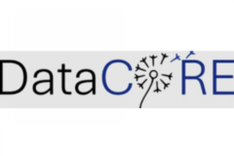 Datacore screenshot 1