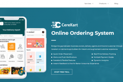 CereKart — Transforming On-Demand Delivery with Design & Technology 