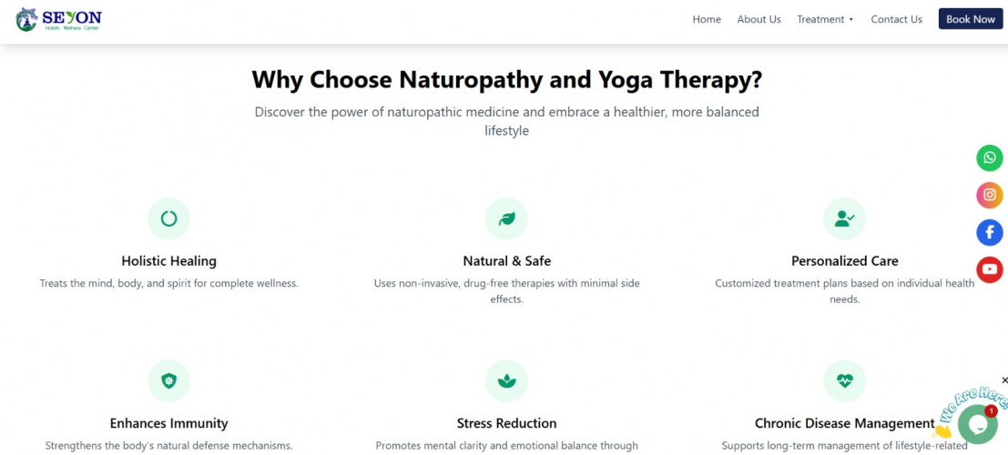 Seyon Holistic & Wellness Center screenshot 1