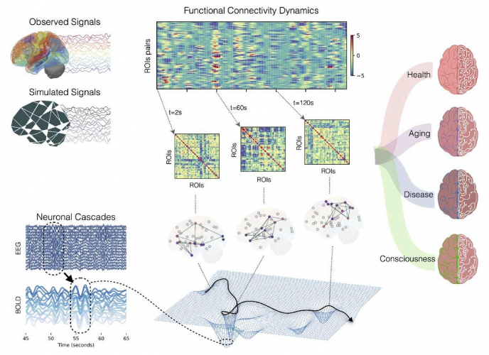 Virtual Brain Twin: personalized treatment of Psychiatric Disorders screenshot 1