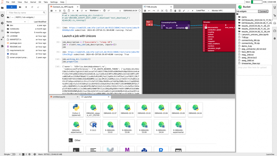Virtual Brain Twin: personalized treatment of Psychiatric Disorders screenshot 3